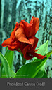 %_tempFileNamePresident-Canna-(red)%