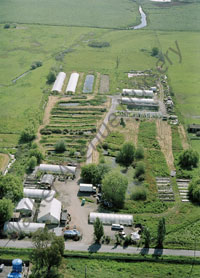 walker avenue nursery